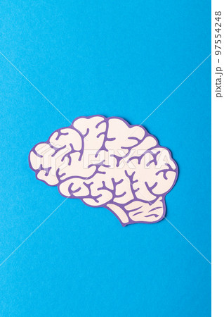 Vertical composition of white and purple human brain, on blue background with copy space Vertical composition of white and purple human brain, on blue background with copy space 97554248