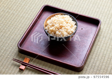 日本の庶民の質素な食事（江戸時代風） 97554596