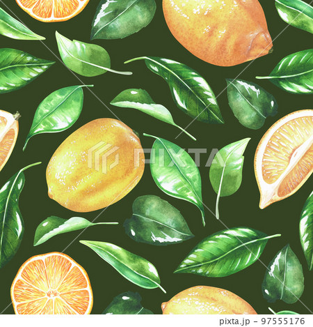 Seamless pattern with lemons and leaves. Whole fruit and cut. Watercolor illustration. Isolated on a green background. For design kitchen accessories, product packaging with citrus acid or scent Seamless pattern with lemons and leaves. Whole fruit and cut. Watercolor illustration. Isolated on a green background. For design kitchen accessories, product packaging with citrus acid or scent 97555176