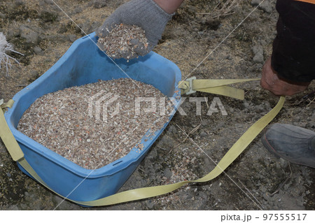 冬の間の土つくり、カニガラ 97555517