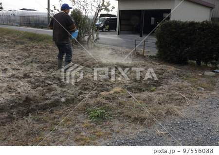 冬の間の土つくり、コメぬかまき 97556088