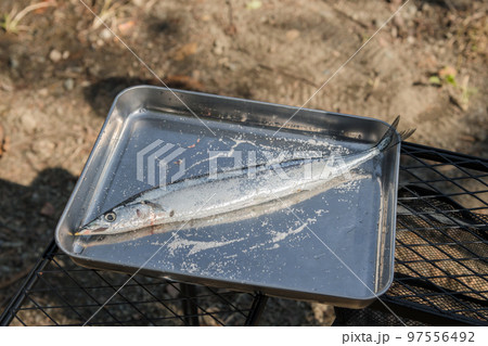【オートキャンプ場で秋刀魚の塩焼きを作る】 97556492