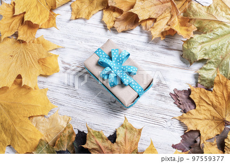 Flat lay autumn composition with gift box Flat lay autumn composition with gift box 97559377