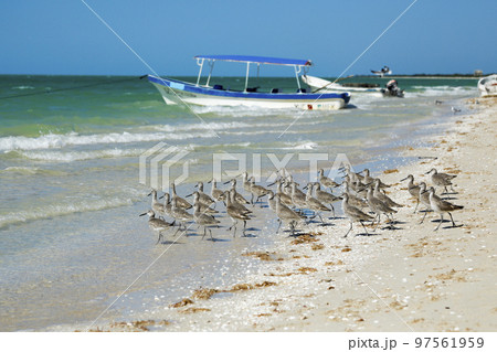 Beach and ocean, Surf City, North Carolina Beach and ocean, Surf City, North Carolina 97561959