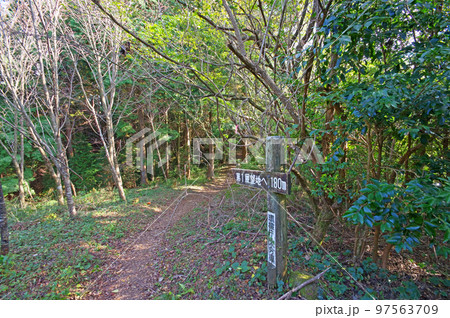 大分県中津市のシンボル八面山山頂遊歩道 97563709