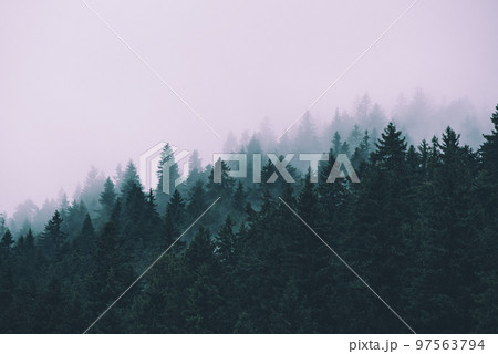 Misty mountain landscape 97563794