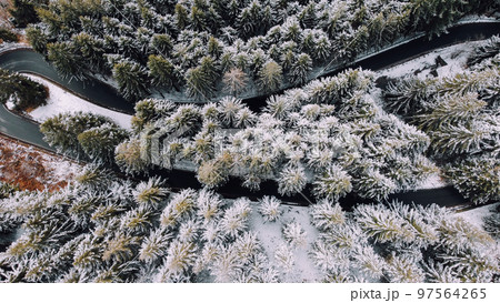 Aerial view of mountain road among the trees in winter forest. Aerial view of mountain road among the trees in winter forest. 97564265