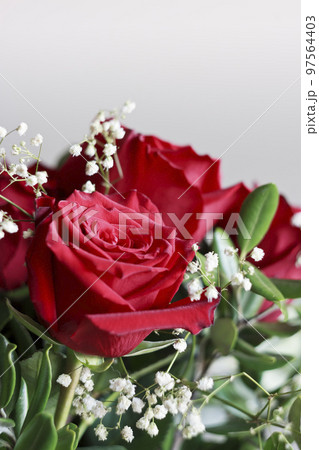 Bouquet of red roses. Soft focus with Valentines day or wedding frame. Bouquet of red roses. Soft focus with Valentines day or wedding frame. 97564403