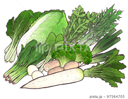 冬の野菜・食材　イラストまとめ　① 97564705
