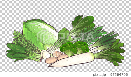 冬の野菜・食材 イラストまとめ ② 冬の野菜・食材 イラストまとめ ② 97564706