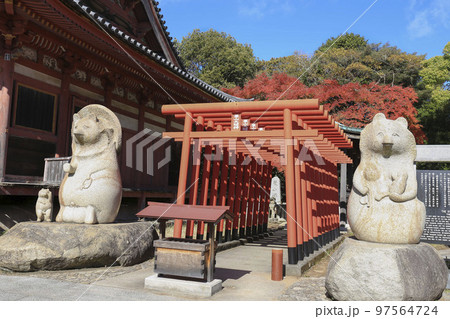 香川・高松　蓑山大明神 四国霊場八十八ヶ所・第84番札所 屋島寺本堂横 97564724