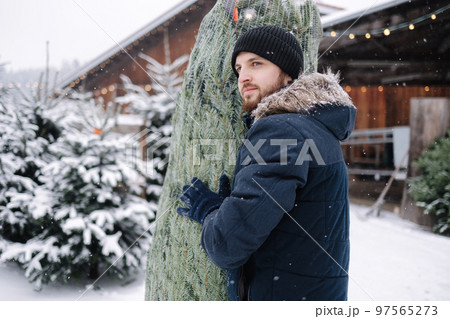 Portrait of delivery worker stand by Christmas tree. Green shop market of eco trees. Fir tree packaging and delivery 97565273