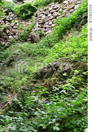 岐阜城17 97565354