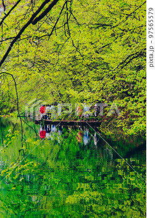 クロアチア　神秘の湖群　プリトヴィツェ 97565579