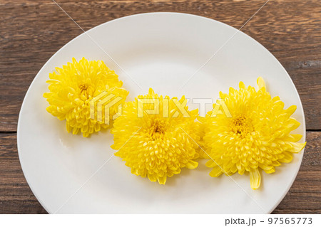 白い皿の上の黄色い菊の花 白い皿の上の黄色い菊の花 97565773