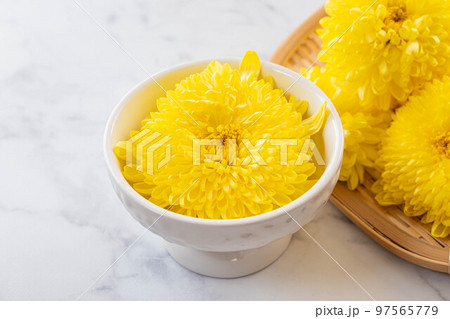 白い器に入った菊の花一輪 白い器に入った菊の花一輪 97565779