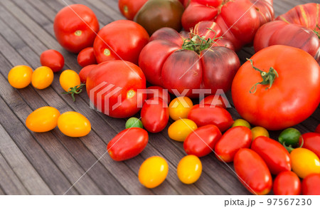 different varieties of ripe red and yellow appetizing tomatoes 97567230