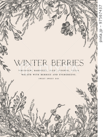 Vintage invitation card with berries. 97567437