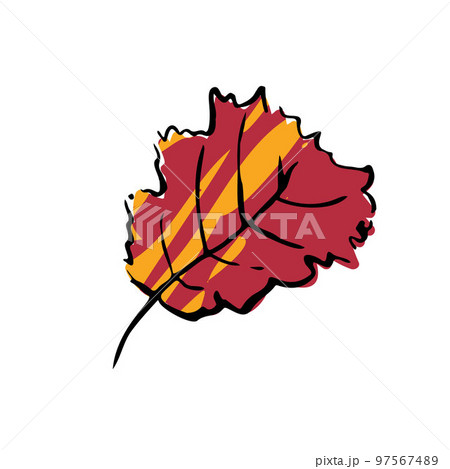 Summer sketch Red leaf. Hand-drawn textured herb Summer sketch Red leaf. Hand-drawn textured herb 97567489