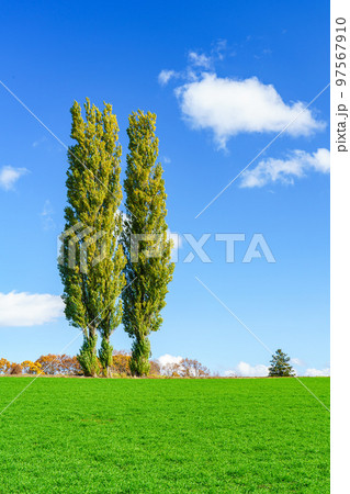 北海道 美瑛の丘の景色 北海道 美瑛の丘の景色 97567910