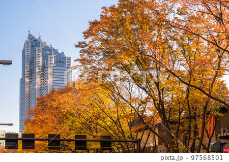 《東京都》新宿副都心・秋の都市風景 《東京都》新宿副都心・秋の都市風景 97568501