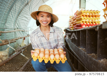 Chicken eggs, woman and portrait of farmer with tray of fresh, organic and healthy protein of animal coop in Japan. Poultry farming, sustainable production and food economy in eco friendly hen house Chicken eggs, woman and portrait of farmer with tray of fresh, organic and healthy protein of animal coop in Japan. Poultry farming, sustainable production and food economy in eco friendly hen house 97570615