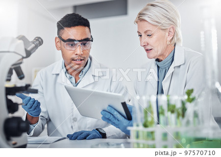Teamwork, plant science and doctors with tablet for research. Collaboration, sustainability and scientists, man and old woman with touchscreen for gmo, experiment and researching botany in laboratory 97570710