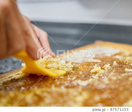 Extraction, beekeeping and hands of a worker with honeycomb, sustainability and natural food on a farm. Agriculture, process and beekeeper with production of eco friendly and organic honey farming Extraction, beekeeping and hands of a worker with honeycomb, sustainability and natural food on a farm. Agriculture, process and beekeeper with production of eco friendly and organic honey farming 97571155