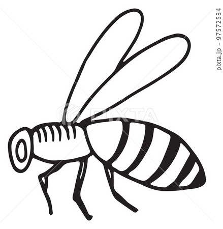 Honey bee icon. Hand drawn humblebee sketch 97572534