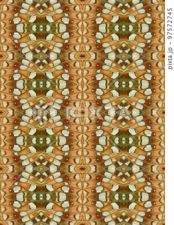 Butterfly wings texture yellow green with pearly spots, unusual background for decoration, design, printing, beautiful multi-colored pattern, original wallpaper Butterfly wings texture yellow green with pearly spots, unusual background for decoration, design, printing, beautiful multi-colored pattern, original wallpaper 97572745