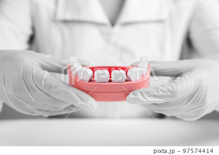 Dentist with jaw model in hands. Teeth, gums and mouth examination, dental checkup. Oral hygiene concept. Doctor in lab coat and in gloves 97574414