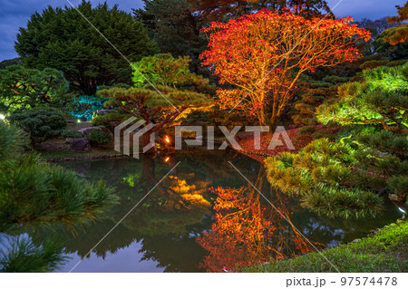 【高松市】栗林公園　秋のライトアップ【紅葉】 97574478