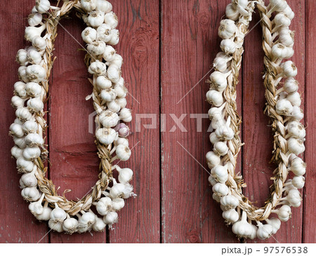 Garlic wreaths. Rich harvest. 97576538