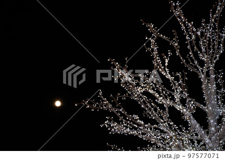 東京メガイルミ、tokyo mega illumi,toyo city keiba,競馬場、東京、イ 97577071