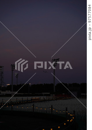 東京メガイルミ、tokyo mega illumi,toyo city keiba,競馬場、東京、イ 97577084