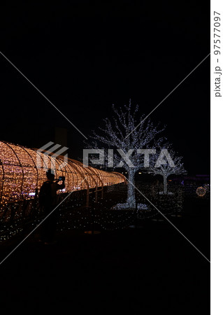 東京メガイルミ、tokyo mega illumi,toyo city keiba,競馬場、東京、イ 97577097