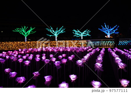 東京メガイルミ、tokyo mega illumi,toyo city keiba,競馬場、東京、イ 97577111