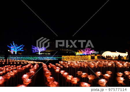 東京メガイルミ、tokyo mega illumi,toyo city keiba,競馬場、東京、イ 97577114