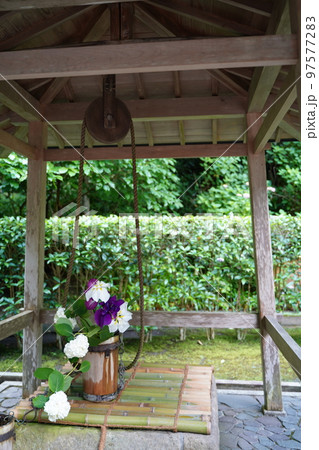 紫陽花、あじさい、アジサイ、青い紫陽花、青、明月院、meigetsuin,鎌倉、神奈川、お寺、神社、 紫陽花、あじさい、アジサイ、青い紫陽花、青、明月院、meigetsuin,鎌倉、神奈川、お寺、神社、 97577283