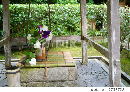 紫陽花、あじさい、アジサイ、青い紫陽花、青、明月院、meigetsuin,鎌倉、神奈川、お寺、神社、 紫陽花、あじさい、アジサイ、青い紫陽花、青、明月院、meigetsuin,鎌倉、神奈川、お寺、神社、 97577284