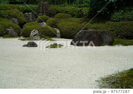 紫陽花、あじさい、アジサイ、青い紫陽花、青、明月院、meigetsuin,鎌倉、神奈川、お寺、神社、 紫陽花、あじさい、アジサイ、青い紫陽花、青、明月院、meigetsuin,鎌倉、神奈川、お寺、神社、 97577287
