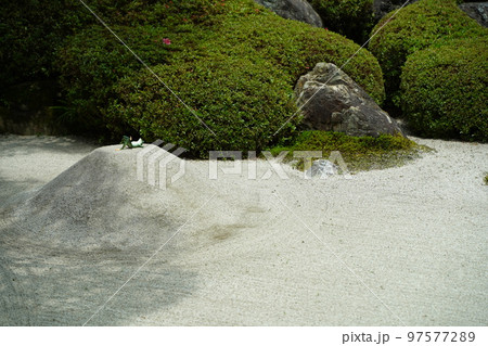 紫陽花、あじさい、アジサイ、青い紫陽花、青、明月院、meigetsuin,鎌倉、神奈川、お寺、神社、 紫陽花、あじさい、アジサイ、青い紫陽花、青、明月院、meigetsuin,鎌倉、神奈川、お寺、神社、 97577289