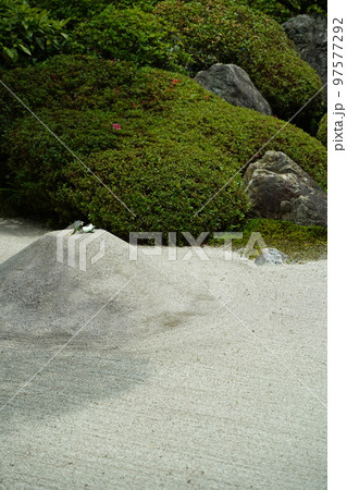 紫陽花、あじさい、アジサイ、青い紫陽花、青、明月院、meigetsuin,鎌倉、神奈川、お寺、神社、 97577292