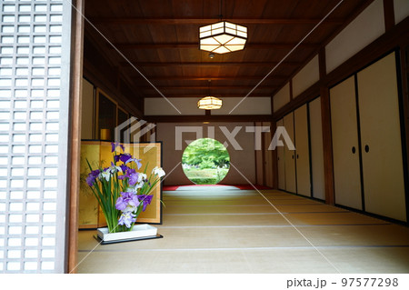 紫陽花、あじさい、アジサイ、青い紫陽花、青、明月院、meigetsuin,鎌倉、神奈川、お寺、神社、 紫陽花、あじさい、アジサイ、青い紫陽花、青、明月院、meigetsuin,鎌倉、神奈川、お寺、神社、 97577298