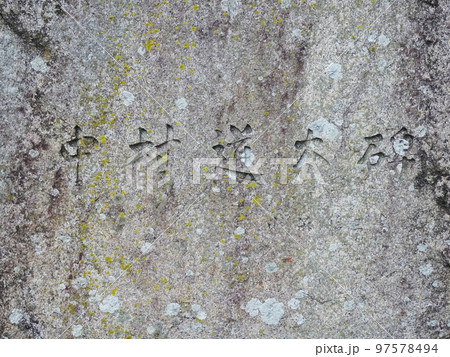 吉田城(豊橋公園) 【愛知県豊橋市】 2022年10月 吉田城(豊橋公園) 【愛知県豊橋市】 2022年10月 97578494