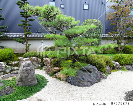 大垣市郷土館の庭園(岐阜県大垣市)2022年10月 大垣市郷土館の庭園(岐阜県大垣市)2022年10月 97579373
