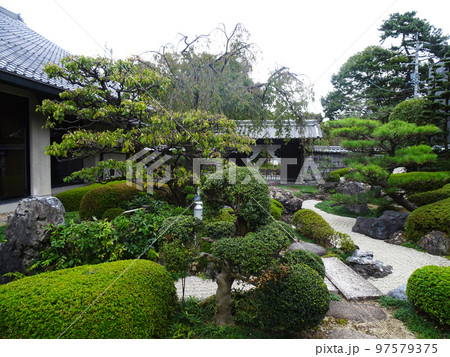 大垣市郷土館の庭園(岐阜県大垣市)2022年10月 大垣市郷土館の庭園(岐阜県大垣市)2022年10月 97579375