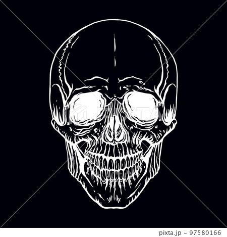 hand drawn human skull hand drawn human skull 97580166