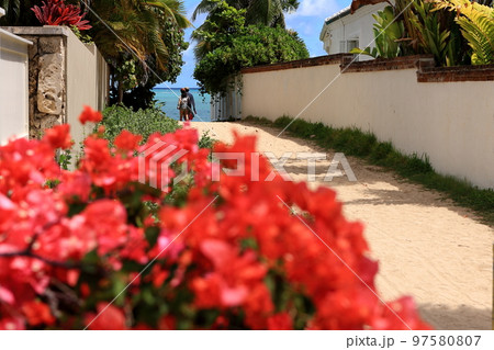 世界の風景 ハワイ 世界の風景 ハワイ 97580807