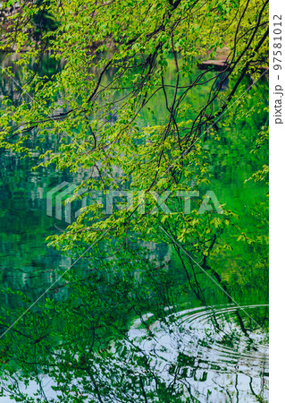 自然・湖・新緑イメージ　プリトヴィツェ湖群国立公園 97581012